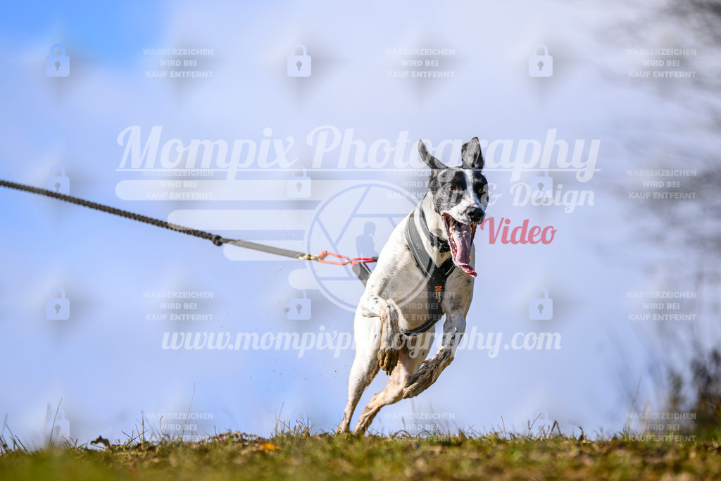 MompixPhotography_2OATB_SO_Bike-7 | PayLife