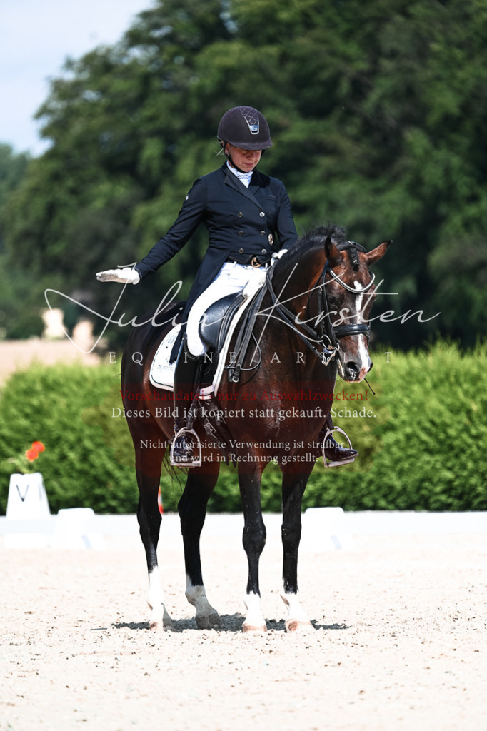 DSC_2979 | Pferde- und Turnierfotografie in Westsachsen. Pferdeportraits, Auftragszeichnungen und intuitive Kunst.