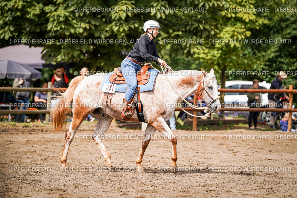 DSC07264 | Pferdegrafie