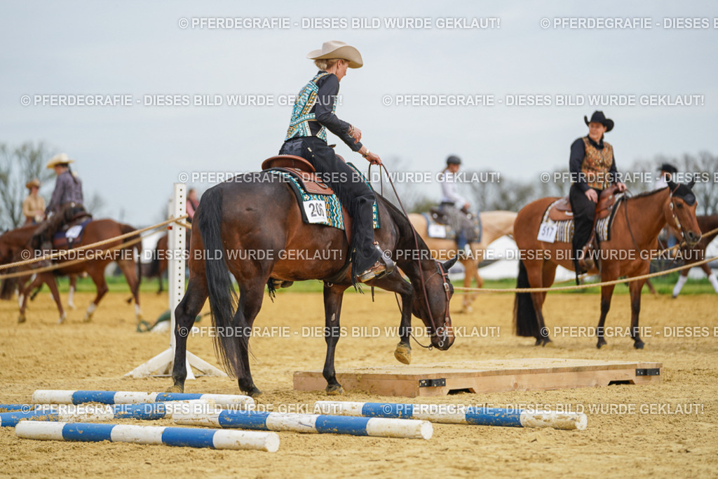 DSC03163 | Pferdegrafie