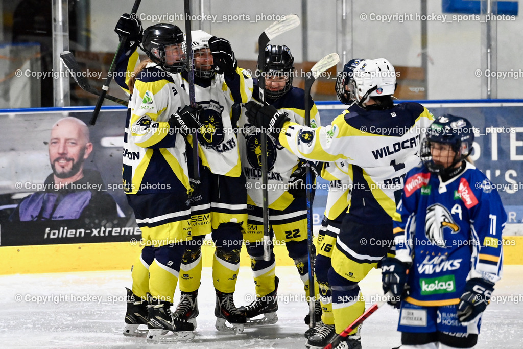 LADY HAWKS vs. WILDCATS PATERNION | Jubel Wildcats Mannschaft, #9 Neumann Magdalena WILDCATS PATERNION, #22 Oberrauner Franziska WILDCATS PATERNION, LADY HAWKS vs. WILDCATS PATERNION, LADY HAWKS vs. WILDCATS PATERNION am 12.03.2025 in Steindorf (Ossiachersee Halle), Austria, (Photo by Bernd Stefan)