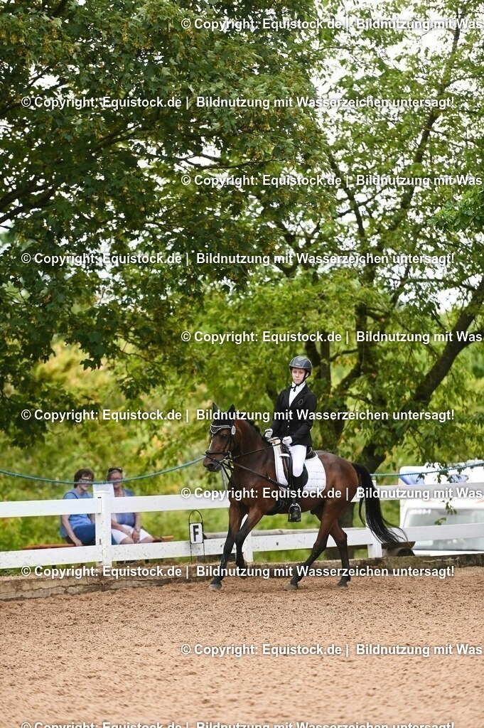 20230716_10-2_Reiter-WB Schritt - Trab - Galopp_0117 | equistock