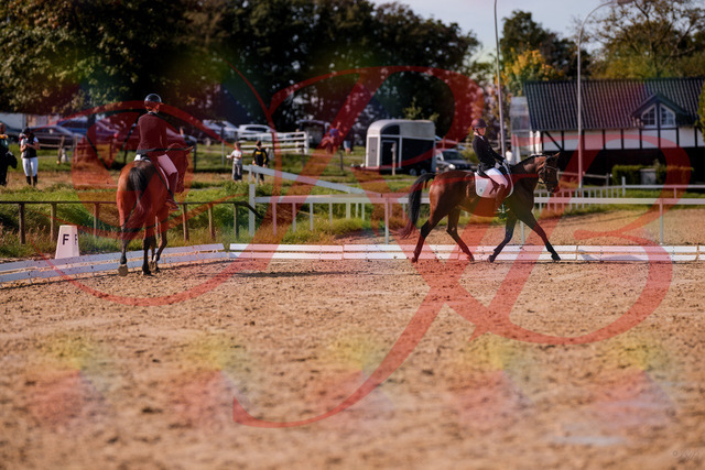 2026_10_03_Siefer-Hof_130804_Z81_59588099 | Professionelle Reitsport-, Turnier- und Eventfotografie von Robert Broda. Galerien mit ausgewählten und bearbeiteten Bildern direkt online ansehen und bestellen.