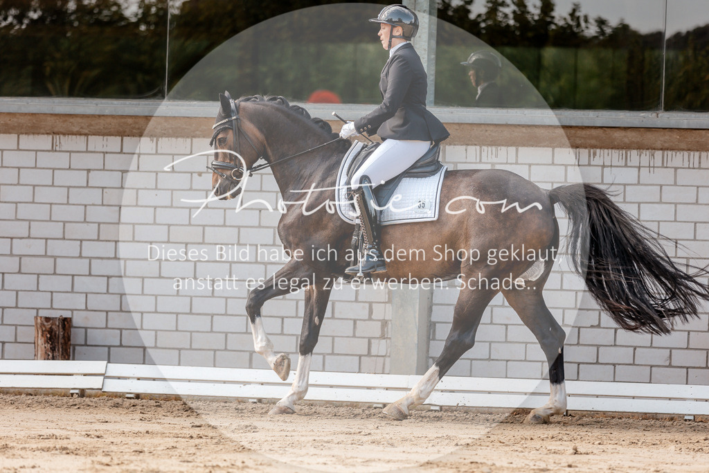 3I6A3465 | Stimmungsvolle Portraits und Reitsportfotografie im Ruhrgebiet und im Münsterland.

Pferdefotografie, Hundefotografie, Tierfotografie, Reportagen, Portraits von Tier und Mensch, Turnierfotografie in Bochum, Recklinghausen, Marl, Haltern am See, Dülmen.. - Realisiert mit Pictrs.com