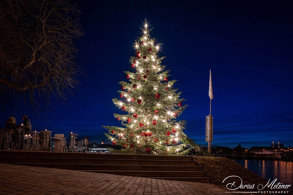DSC_6743 | Fotografien, Fotos und Bilder aus Mainz, Frankfurt, Wiesbaden und anderen Orten auf der Welt - Fotografiert von Darius Metzner