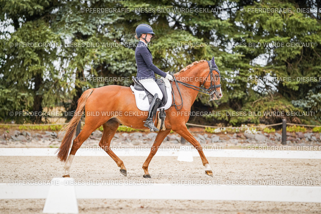 DSC07042 | Pferdegrafie