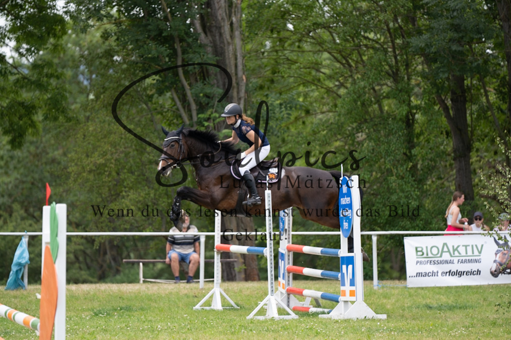 A7V06809 | Pferdefotograf