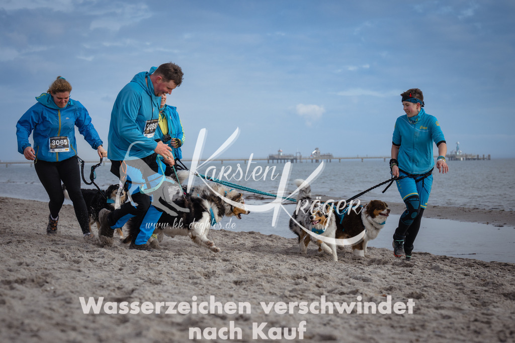 1236_ZZ97639 | kk-dogfotos