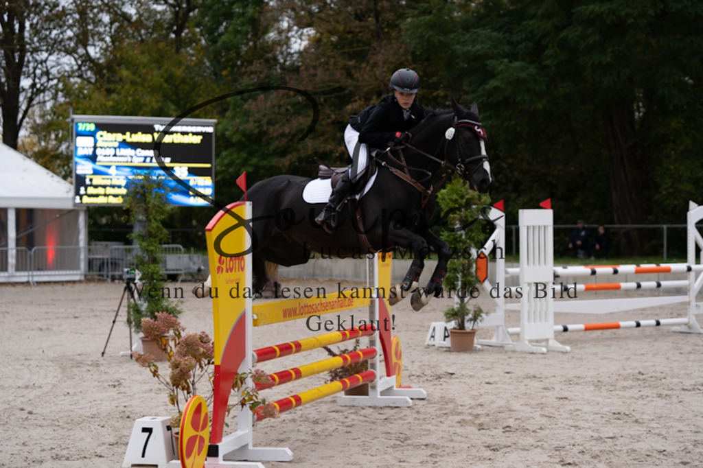 A7V09926 | Pferdefotograf