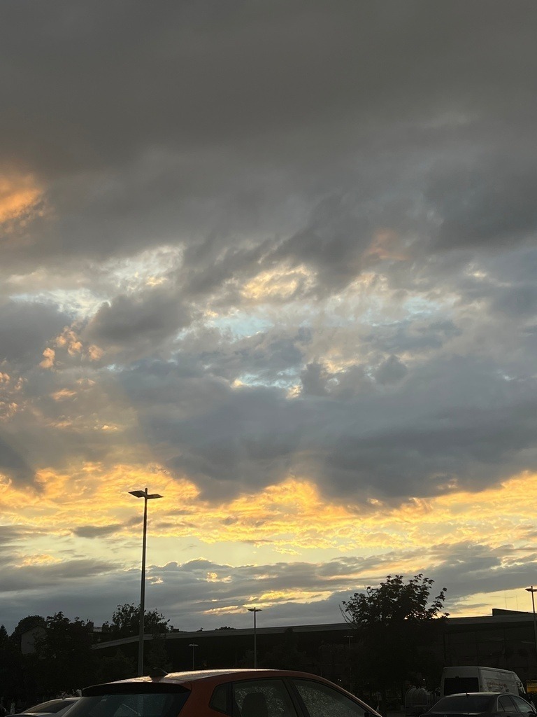 IMG_8003 | ace - Realisiert mit Pictrs.com