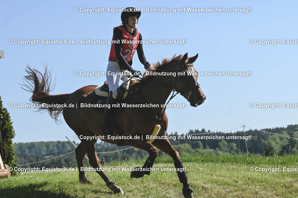 20250517_CCI2_Gelände_0705 | Foto: Thomas Hartig