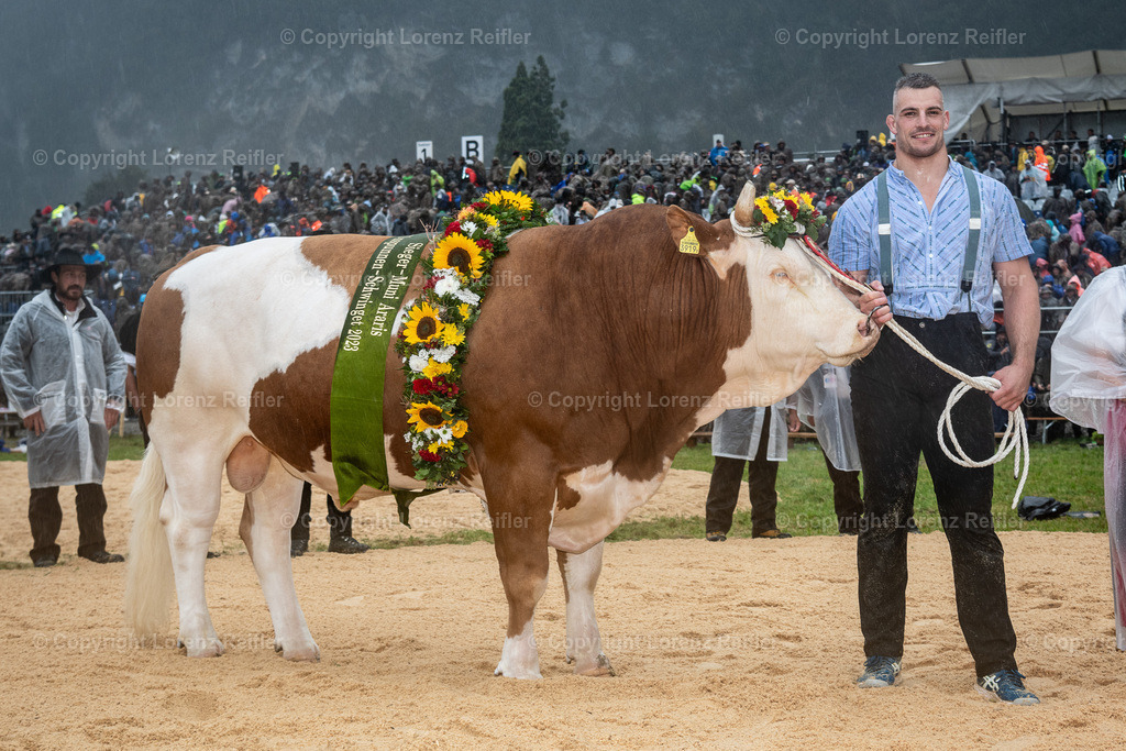 Schwingen -  Unspunnen 2023 | Interlaken, 27.8.23, Schwingen - Unspunnen.