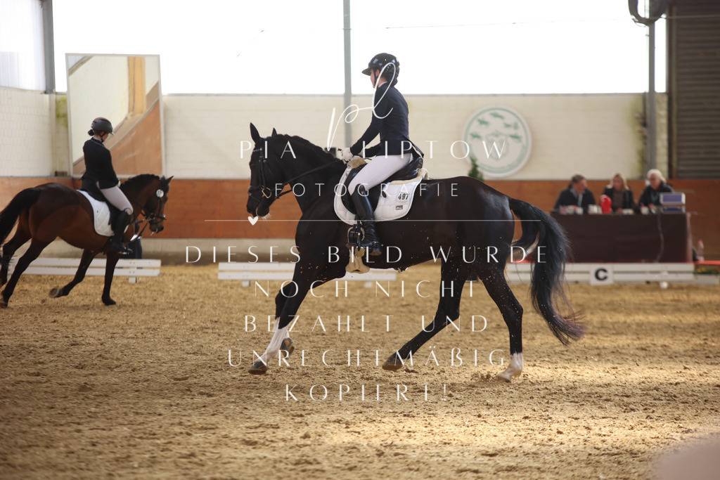 IMGT3592 | pl-fotografie