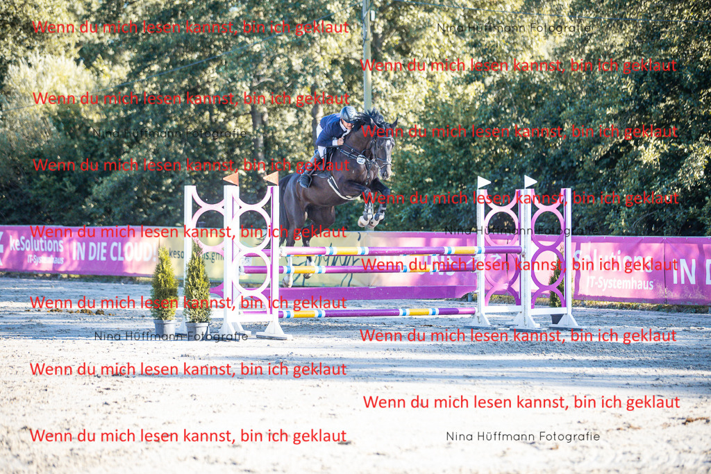 BK1A6190 | Turnierbilder Turnierfotos Nina Hüffmann Turnierfotografie Pferdefotografie Tierzeichnung Haustierzeichnung Pferdezeichnung Hundezeichnung Videograf  - Realisiert mit Pictrs.com