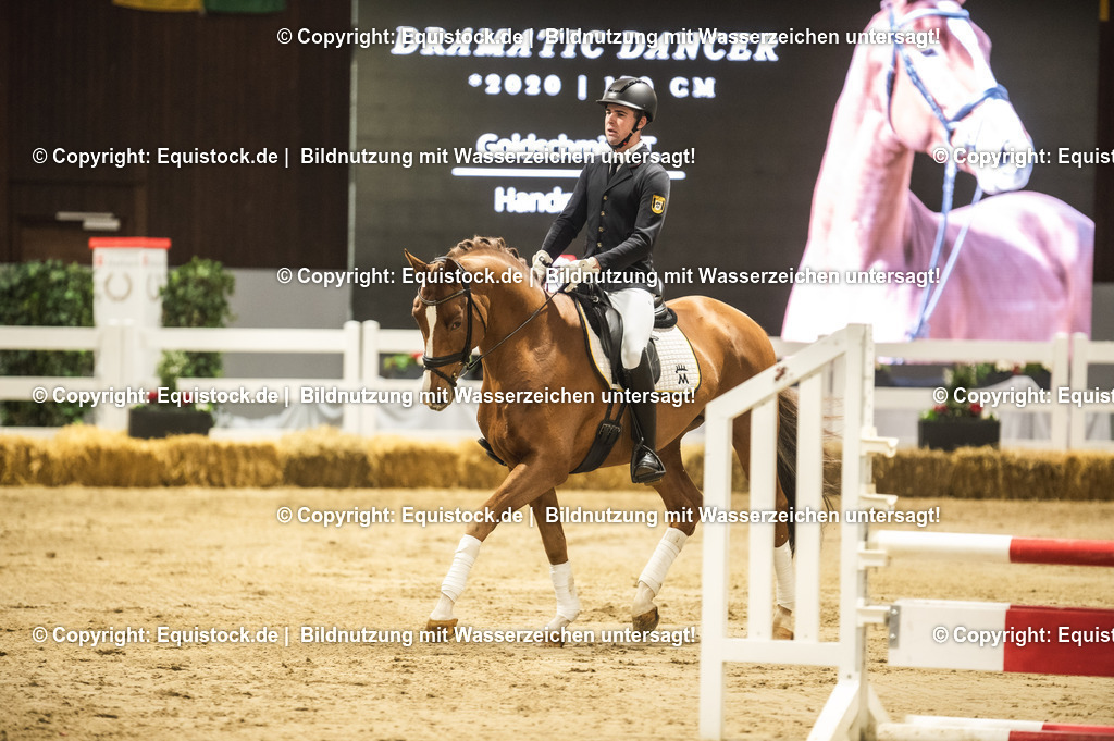 20240302_Hengstvorstellung_Marbach_TOMsPiC_0349 | equistock