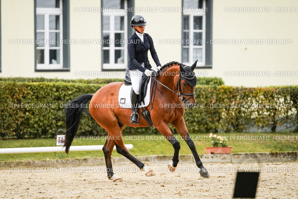 DSC07291 | Pferdegrafie