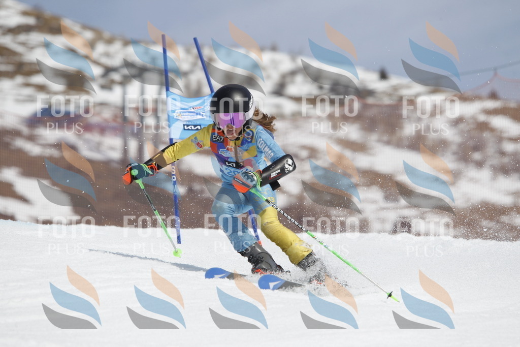 _U3G2077 | holidayphoto