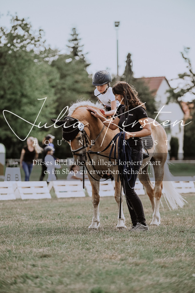 DSC_7716 | Pferde- und Turnierfotografie in Westsachsen. Pferdeportraits, Auftragszeichnungen und intuitive Kunst.