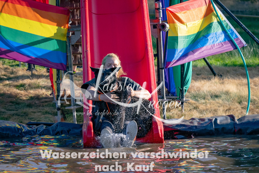 1742_ZZ91808-Bearbeitet | kk-dogfotos