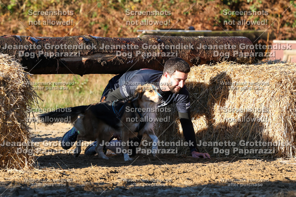 Dog Paparazzi - Strongdog 10-25-952 | Dog Paparazzi Jeanette Grottendiek Fotografie & Videografie - Realisiert mit Pictrs.com