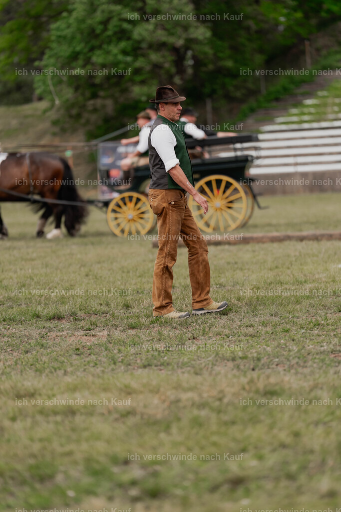Showprogramm-348 | working equitationturnier fotograf videograf stoibphotography marixx film working equitation deutschland reitsport turnierfotografie eventfotografie equestrian events