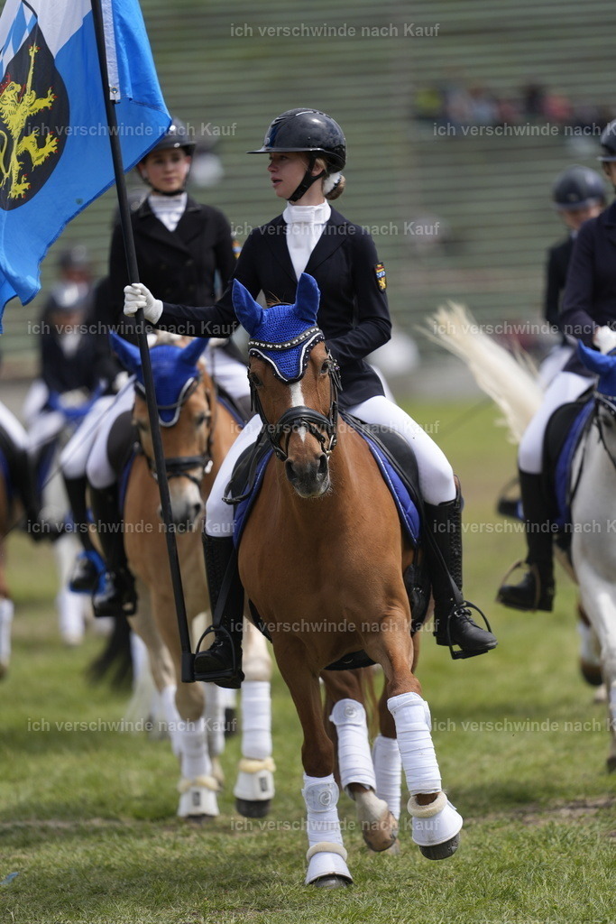 PI26_SHOW_Stoibphotography_DSC6770.JPG | working equitationturnier fotograf videograf stoibphotography marixx film working equitation deutschland reitsport turnierfotografie eventfotografie equestrian events