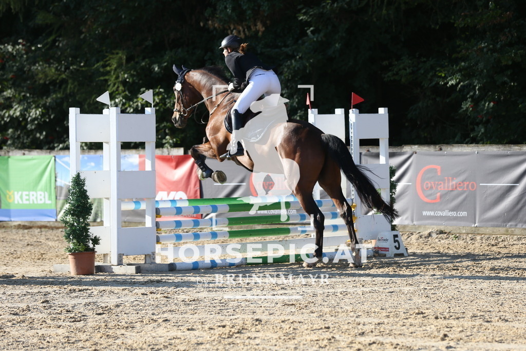 DL2Q7329 | Willkommen bei Brunnmayr - Design & Fotografie – Ihrem Spezialisten für Reitturniere und Pferdeveranstaltungen in Oberösterreich, Salzburg und Bayern! Seit über 17 Jahren sind wir leidenschaftlich dabei.