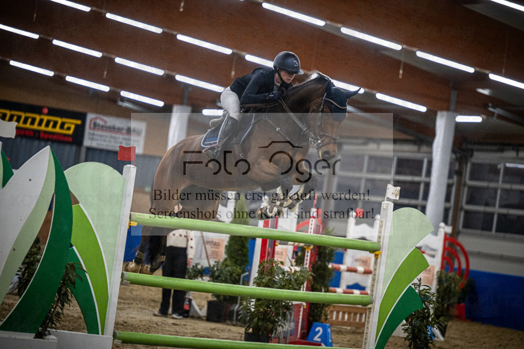 DOS_0923 | Entdecke hochwertige Reitturnierfotos von Foto Oger. Professionell, emotional und authentisch – jetzt Lieblingsmomente im Shop bestellen.Deutschlandweite Turnierfotografie. - Realisiert mit Pictrs.com