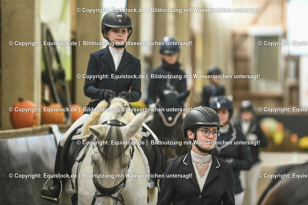 20231029_Führzügel-WB_Abteilung-01_0063 | Foto: Thomas Hartig