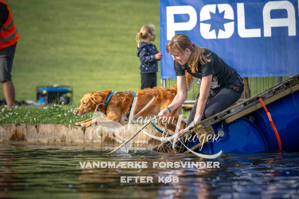 _ZZ934280705 | kk-dogfotos