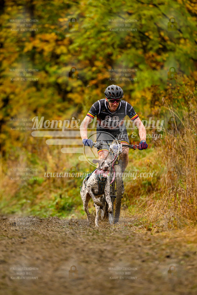 MompixPhotography_ICF_WC_2024_SA_Bike_-16 | PayLife