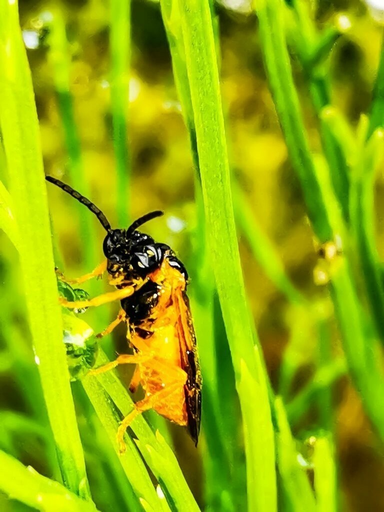 PSX_20220830_224143 | mtkfoto_ - Realisiert mit Pictrs.com