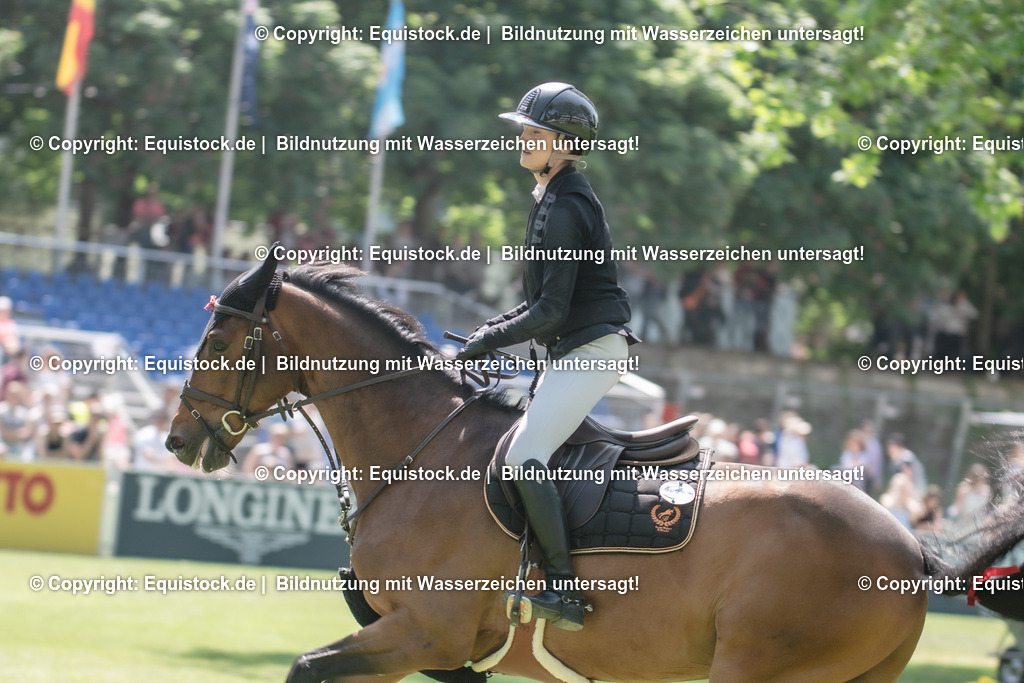 20230527_12_CSI4_Pfungstädter_0004 | equistock