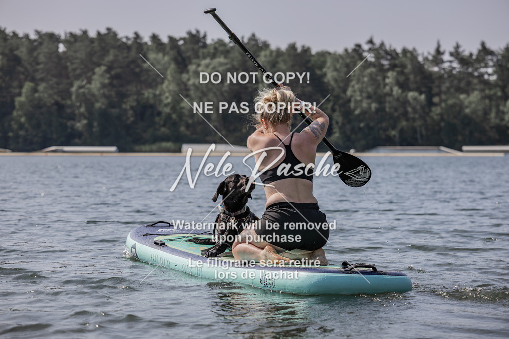 BUHU_SUP_421 | nelerasche