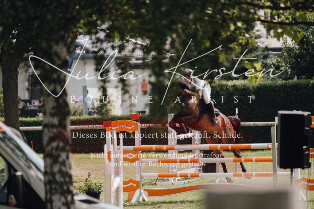 DSC_0975 | Pferde- und Turnierfotografie in Westsachsen. Pferdeportraits, Auftragszeichnungen und intuitive Kunst.