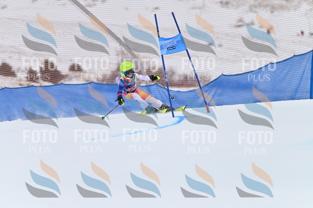 BGV_2341 | holidayphoto