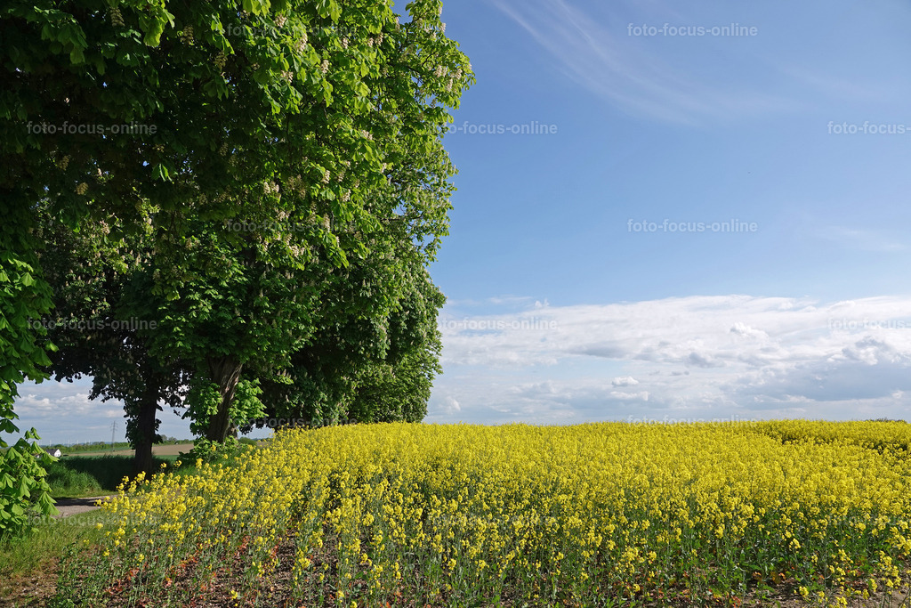 rapps-heute | foto-focus-online