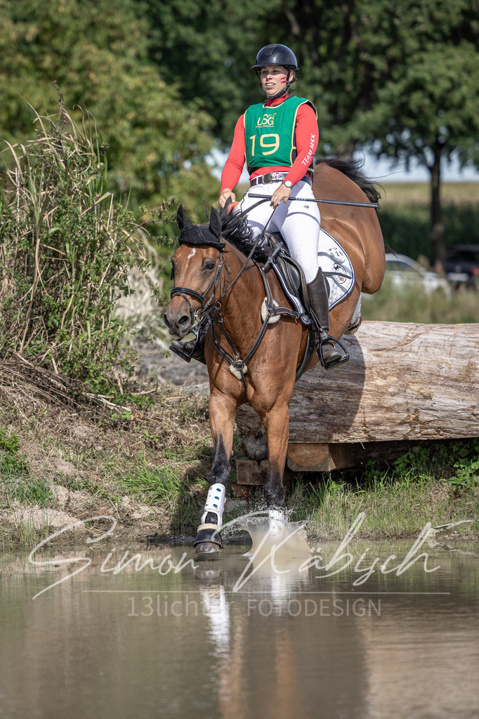 20250907-_3LI2043 | Tierfotografie Pferde, Hunde, Katzen, Haustiere.
Turnierfotografie Reitturniere, Reiten, Springreiten, Dressur in Hanau, dem Main-Kinzig-Kreis und dem Rhein-Main- Gebiet um Frankfurt