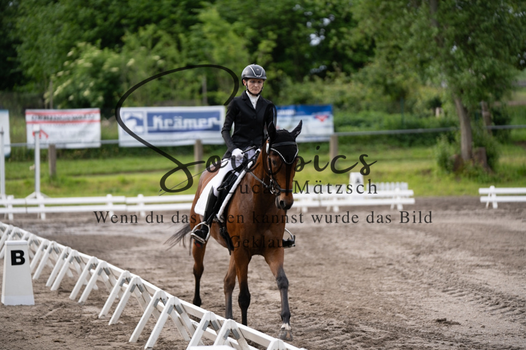 A7V03705 | Pferdefotograf