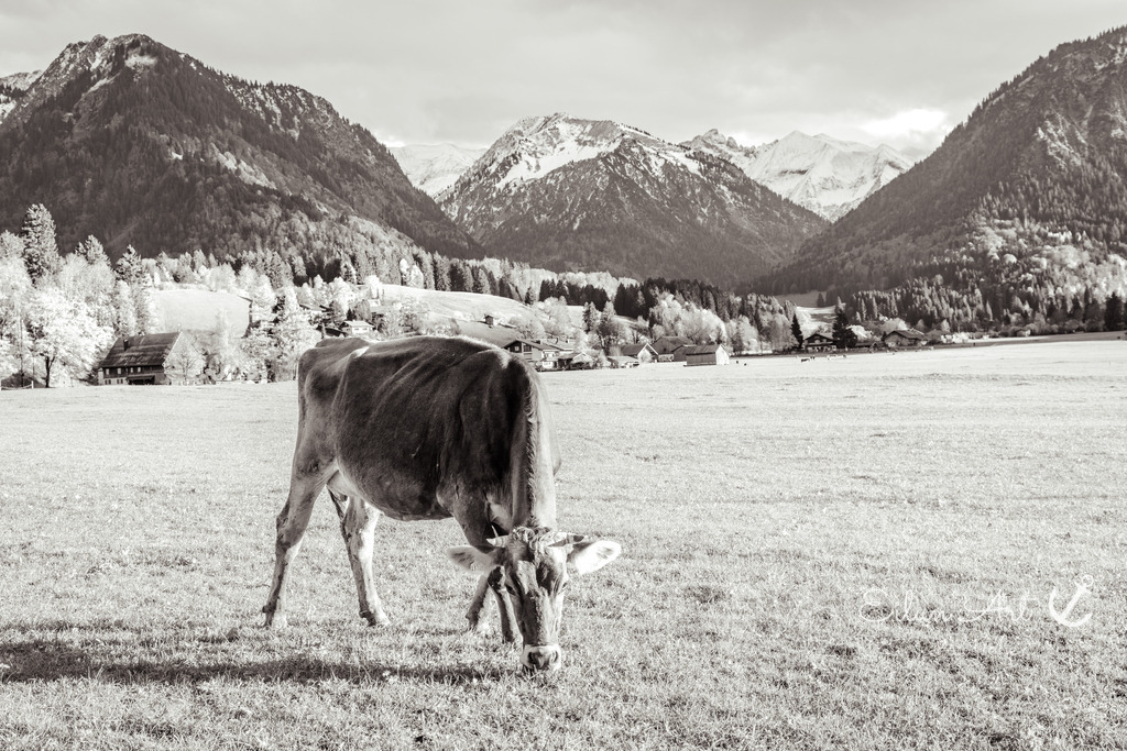 20251024-EAF_6593-2 | Eilun-Art-Fotografie Levke Martens, ihre Fotografin für Immobilien- und Landschaftsfotografie auf Föhr, Föhrer Motive als Poster, Leinwand, hinter Acrylglas oder stelle dir deinen eigenen Monatskalender zusammen, mit nur einem Klick