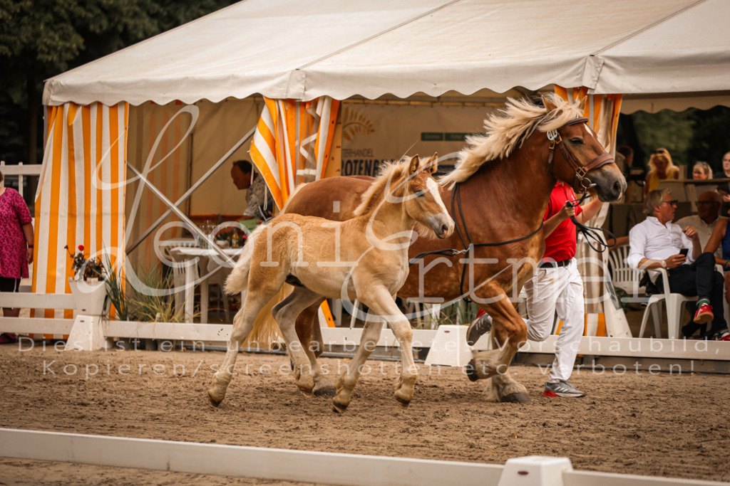 SaHF00035 | Leoni Ertmer Photography - Realisiert mit Pictrs.com