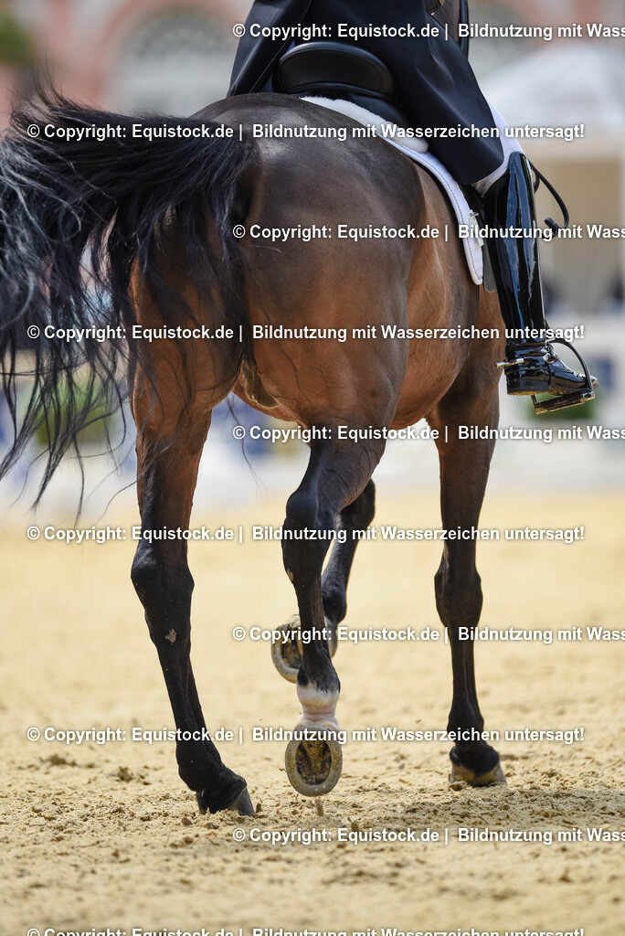 20250607_1_GP-Tour_Dressage_0136 | Foto: Thomas Hartig