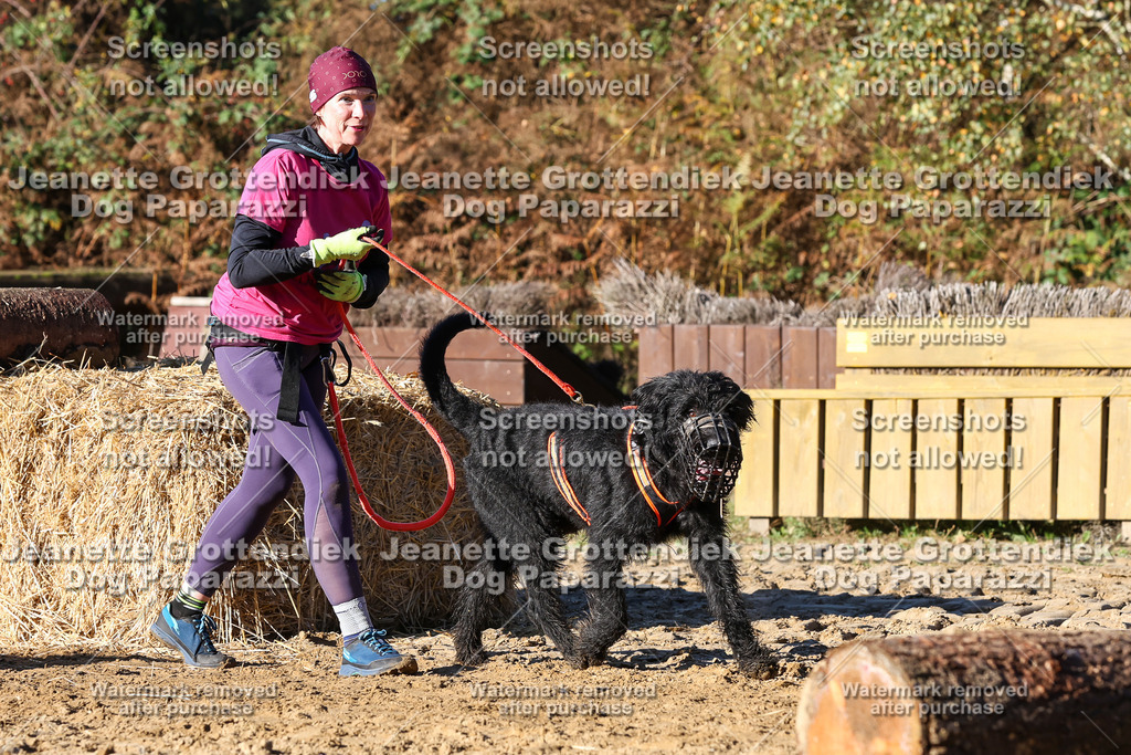Dog Paparazzi - Strongdog 10-25-1654 | Dog Paparazzi Jeanette Grottendiek Fotografie & Videografie - Realisiert mit Pictrs.com
