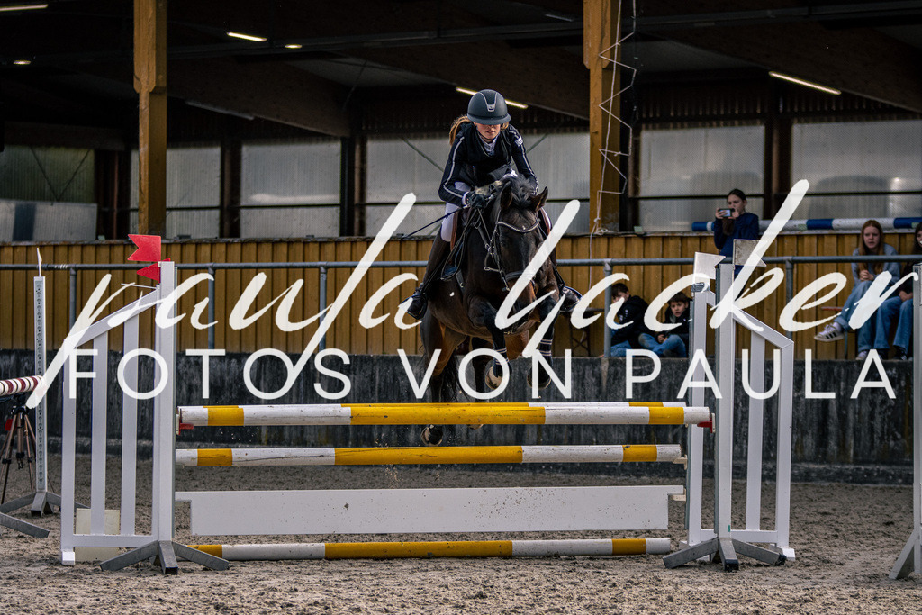 IMG_5935 | Erleben Sie dynamische Sport- und emotionale Tierfotografie in Süddeutschland mit Fotos von Paula. Spezialisiert auf Pferde- und Hundefotografie sowie Sportevents. Kontaktieren Sie mich für einzigartige und ausdrucksstarke Bilder Ihrer besonderen Momente. - Realisiert mit Pictrs.com