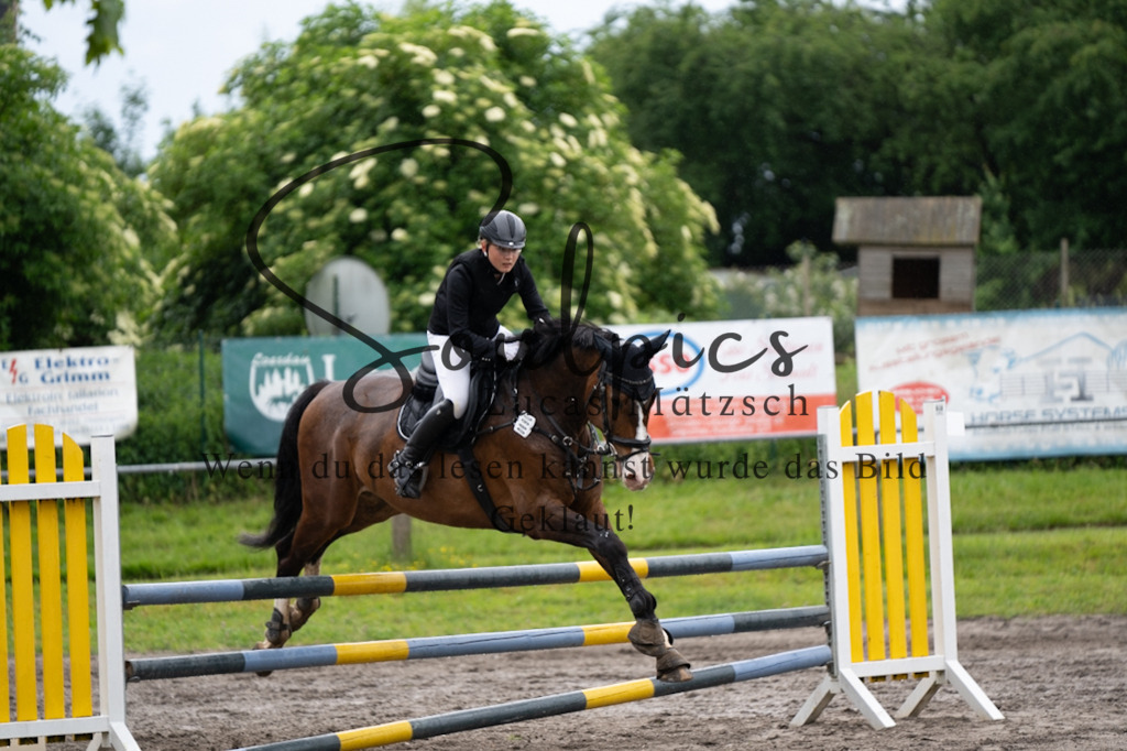 A7V04054 | Pferdefotograf