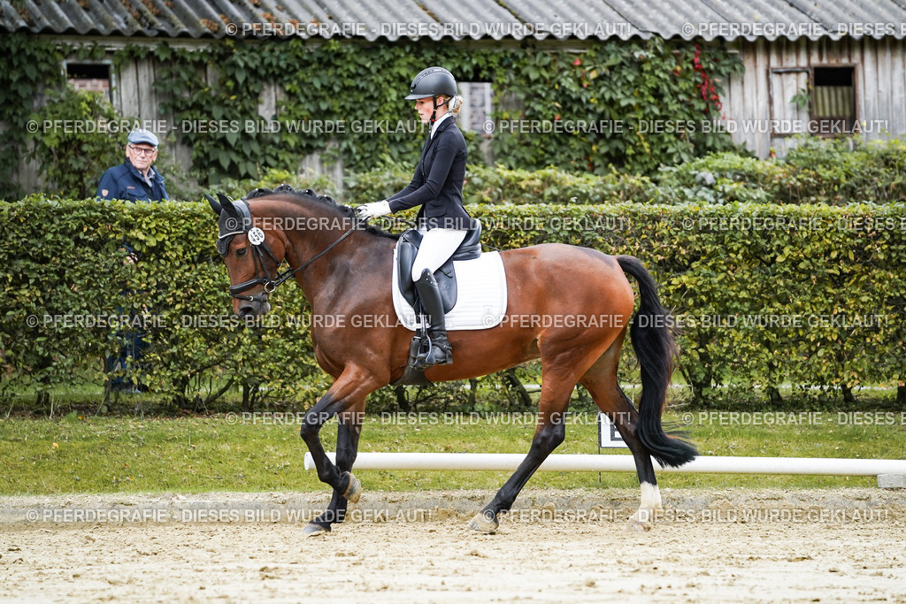 DSC06343 | Pferdegrafie