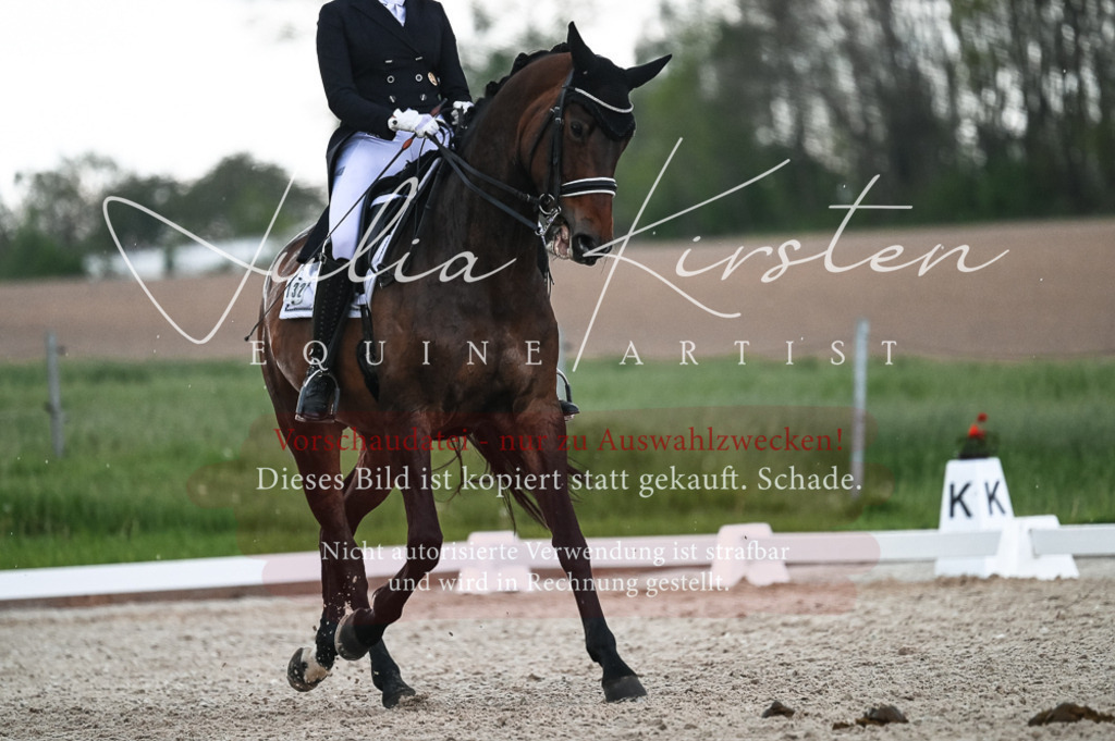 20230514_JK-Röhrsdorf-21-491 | Pferde- und Turnierfotografie in Westsachsen. Pferdeportraits, Auftragszeichnungen und intuitive Kunst.