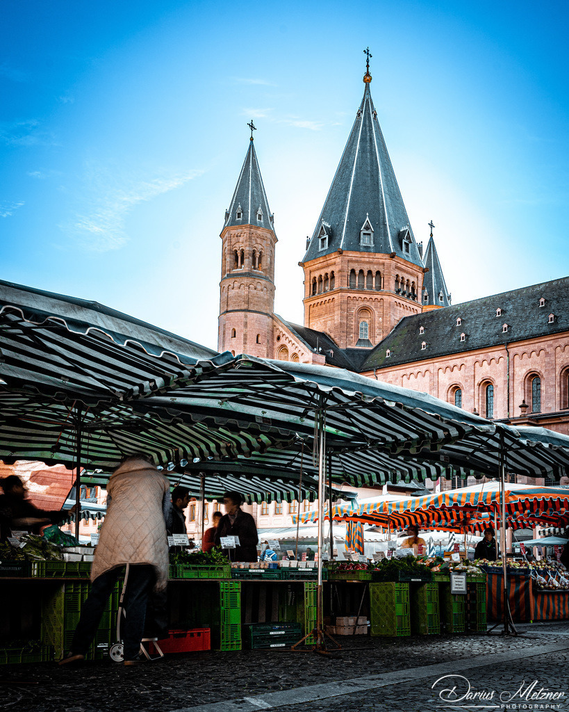 Der Mainzer Dom | Der Mainzer Dom