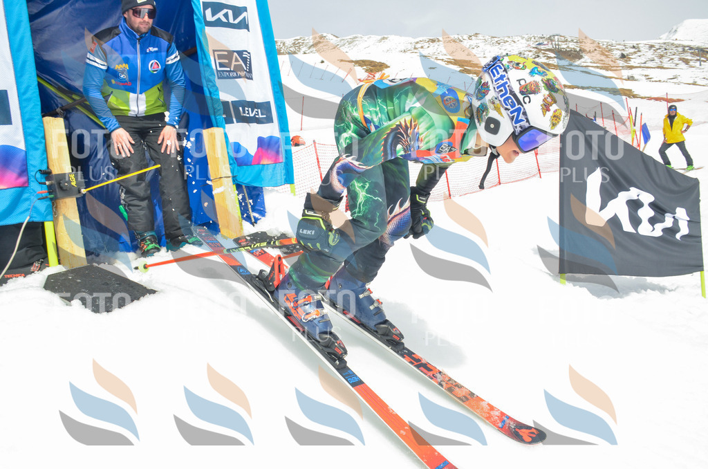 _ELE8314 | holidayphoto