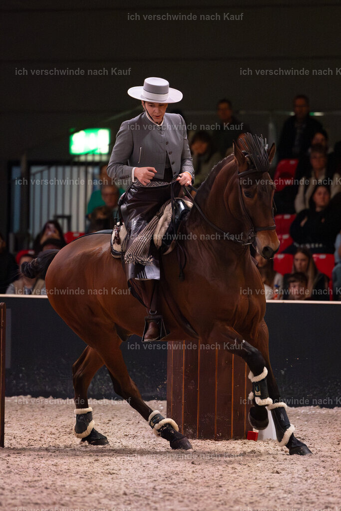 JoseraCup-116 | working equitationturnier fotograf videograf stoibphotography marixx film working equitation deutschland reitsport turnierfotografie eventfotografie equestrian events